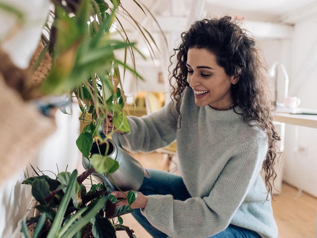 En kvinde vander sine stueplanter derhjemme og plejer sin grønne oase med omsorg og opmærksomhed