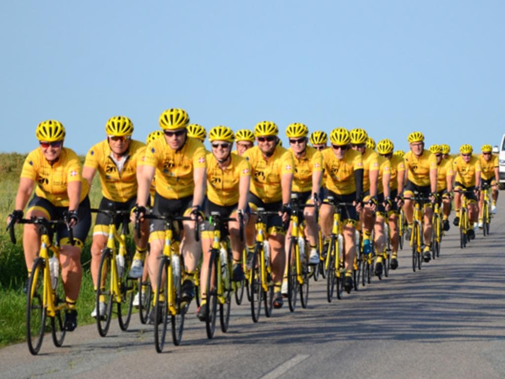En gruppe cyklister iført gule trøjer og hjelme kører sammen på en solrig dag